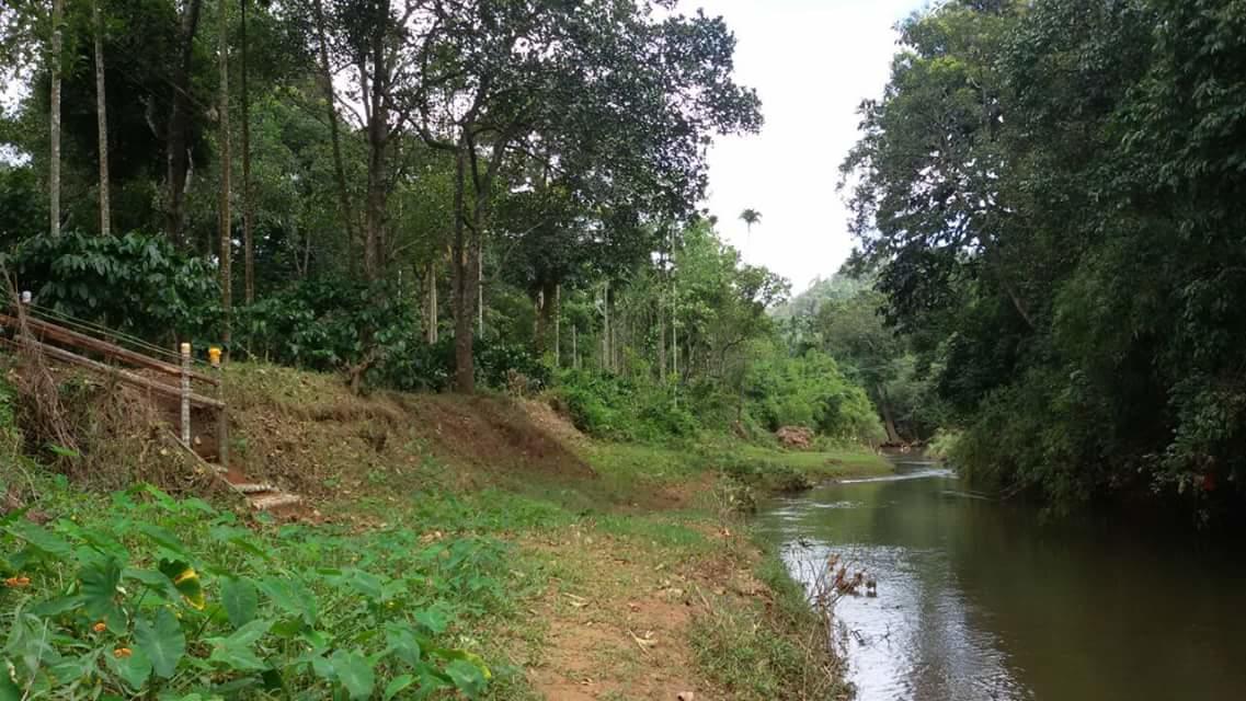 Marsim Holiday Resort Vythiri Exterior photo
